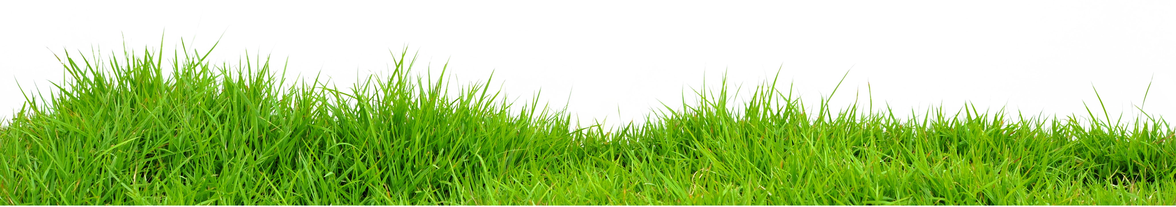 Lawn PNG Isolated File
