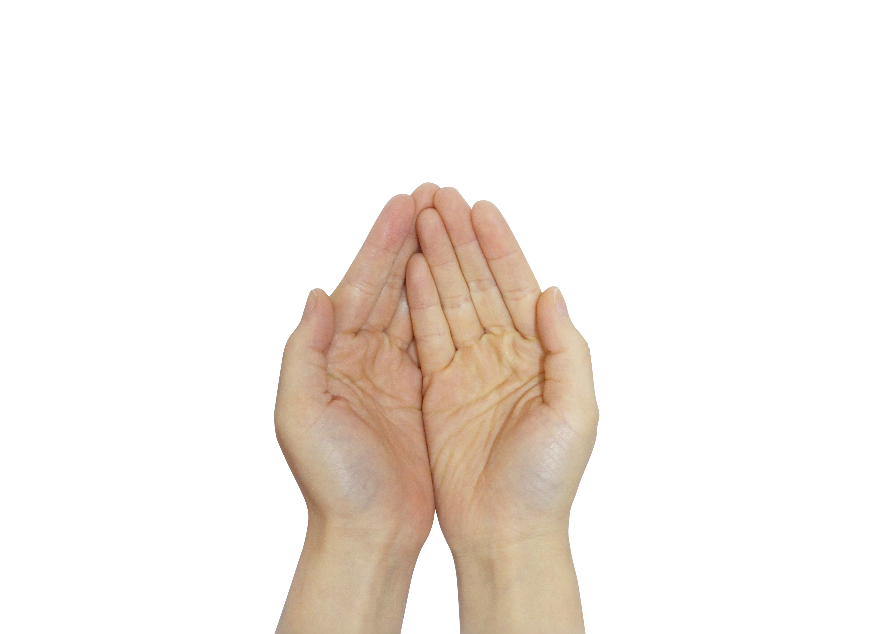 Prayer Hands PNG Isolated Pic