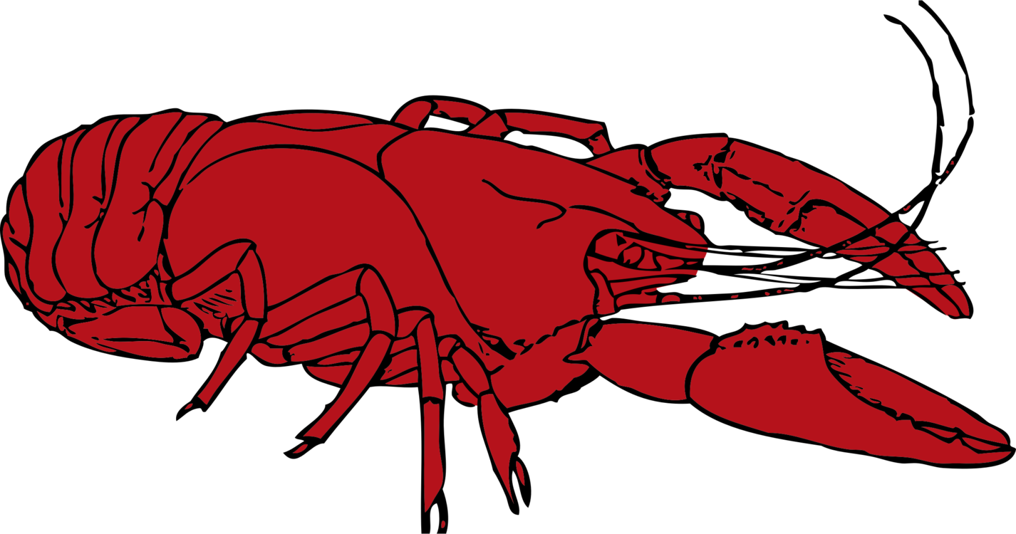 Arquivo de PNG de lagosta vermelha
