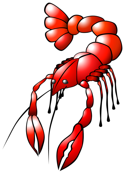 Red Crawfish PNG Isolated File