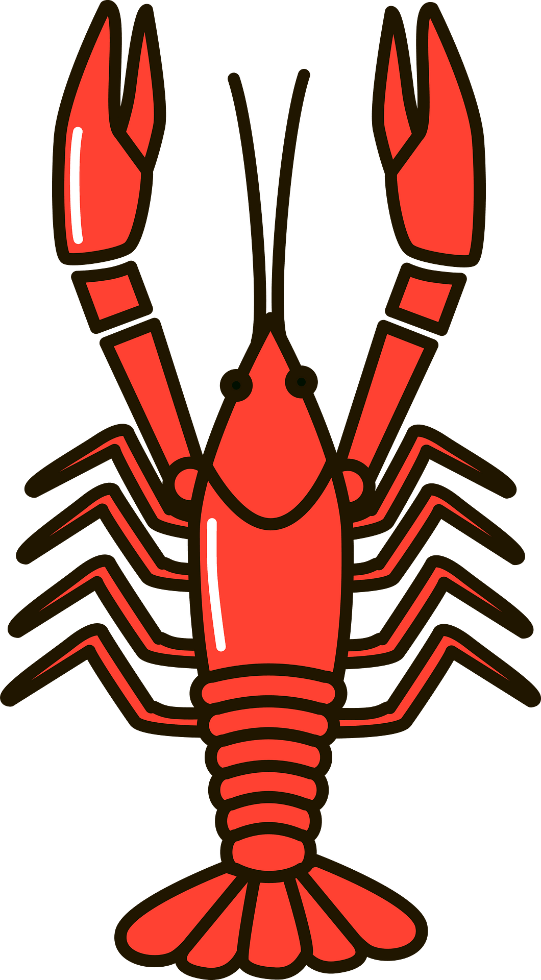 Red Crawfish PNG Isolated Pic