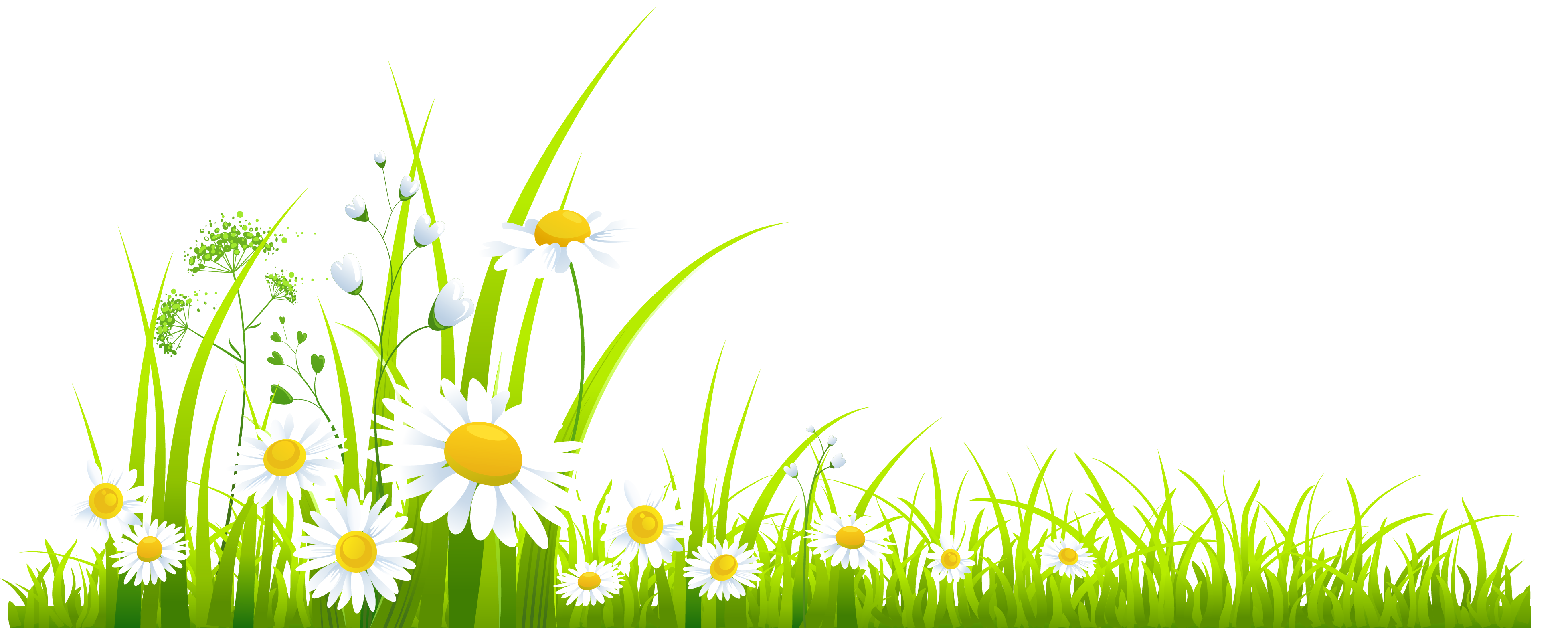 Spring PNG Picture