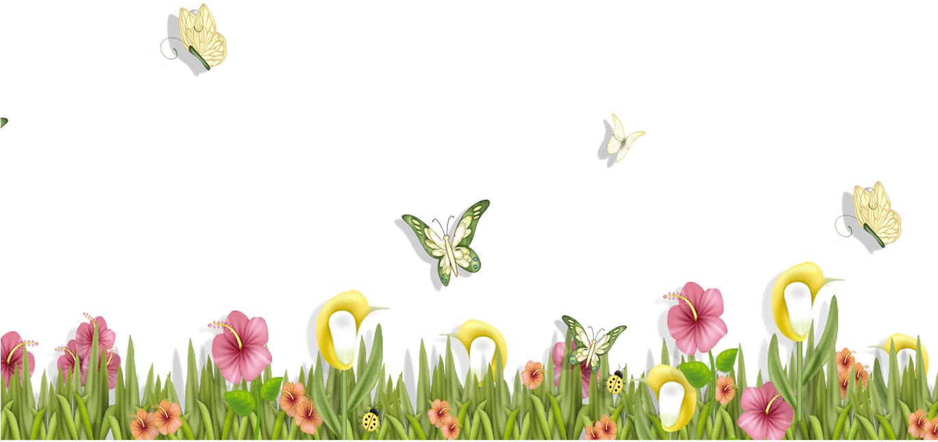 Spring PNG Transparent Image