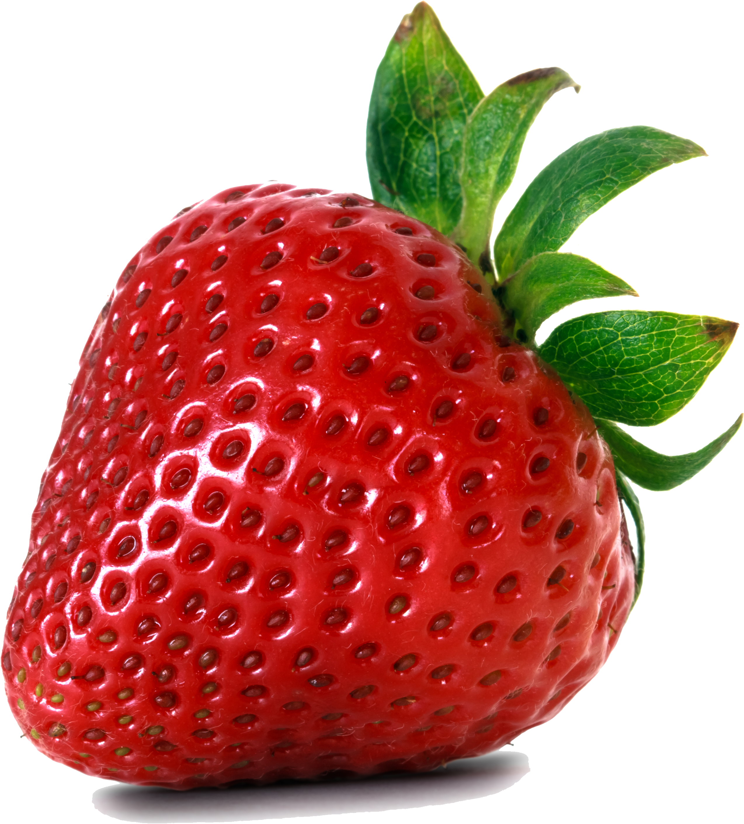 Fresas PNG Isolated HD Pictures