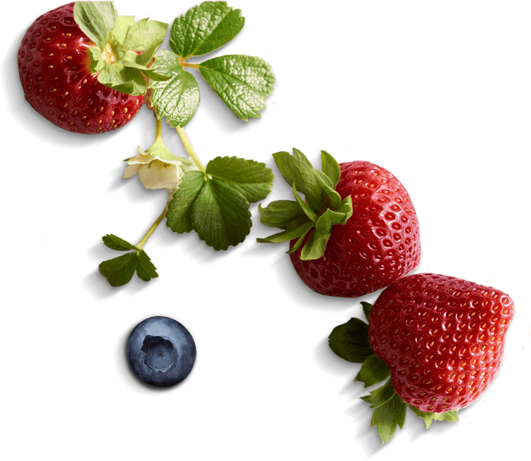 Strawberries PNG Photos