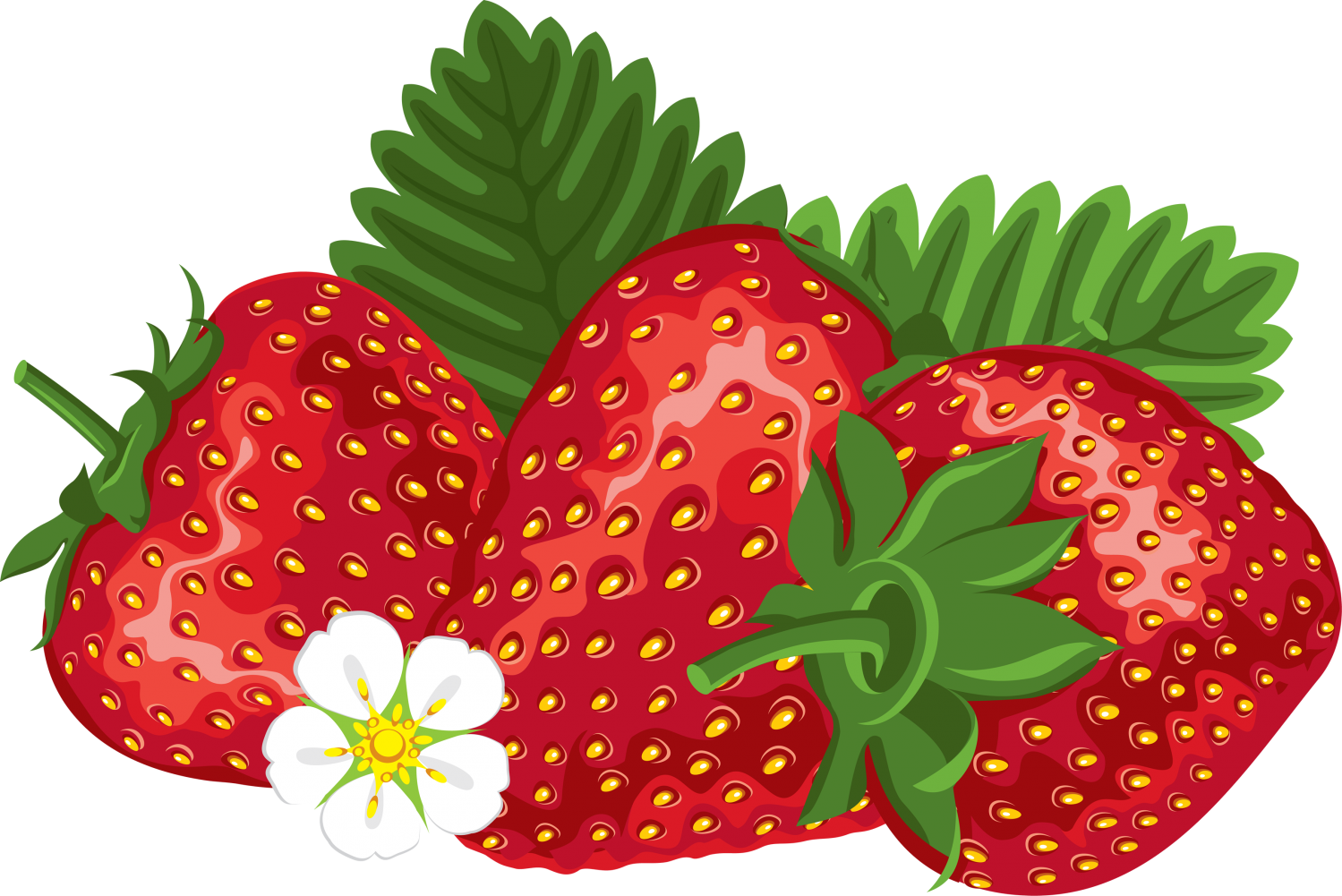 Strawberries Vector PNG HD