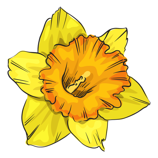 Yellow Narciso PNG Isolated Clipart