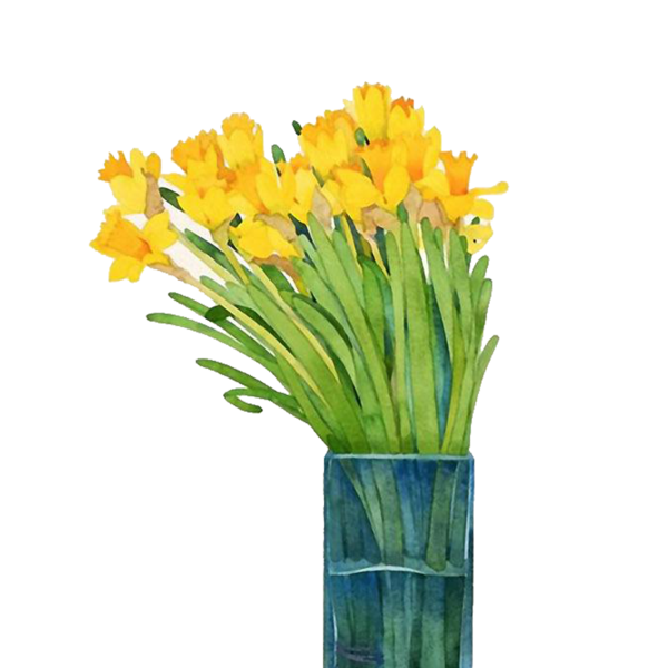Daffodil giallo PNG Trasparente