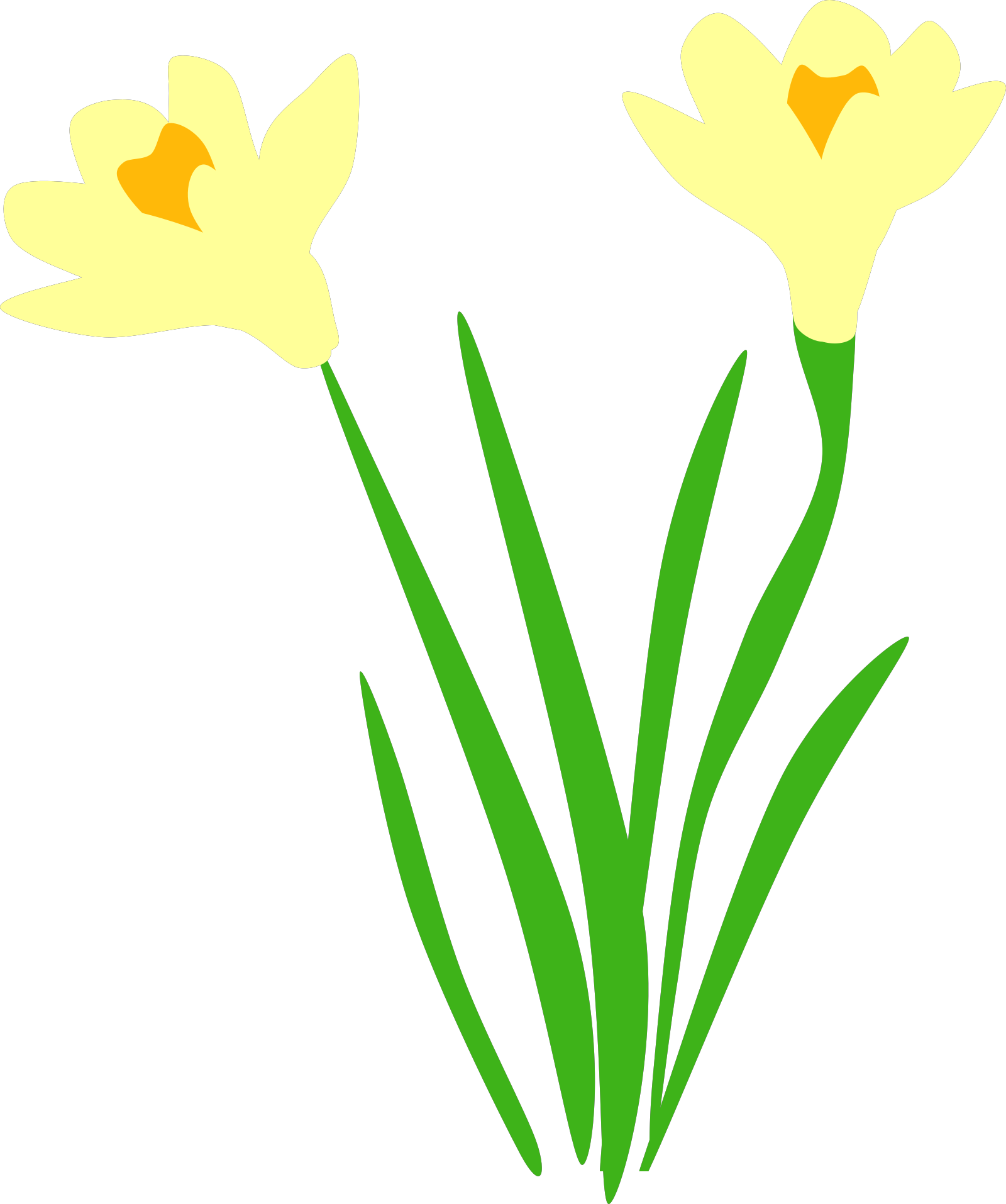 Yellow Narciso Transparente PNG