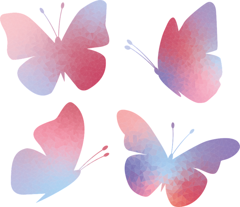 Aesthetic Theme Butterfly PNG File
