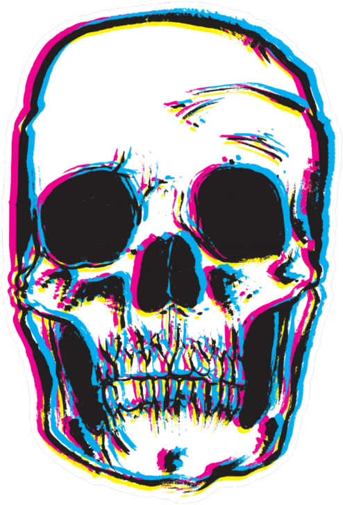 Aesthetic Theme Skull Download PNG Image