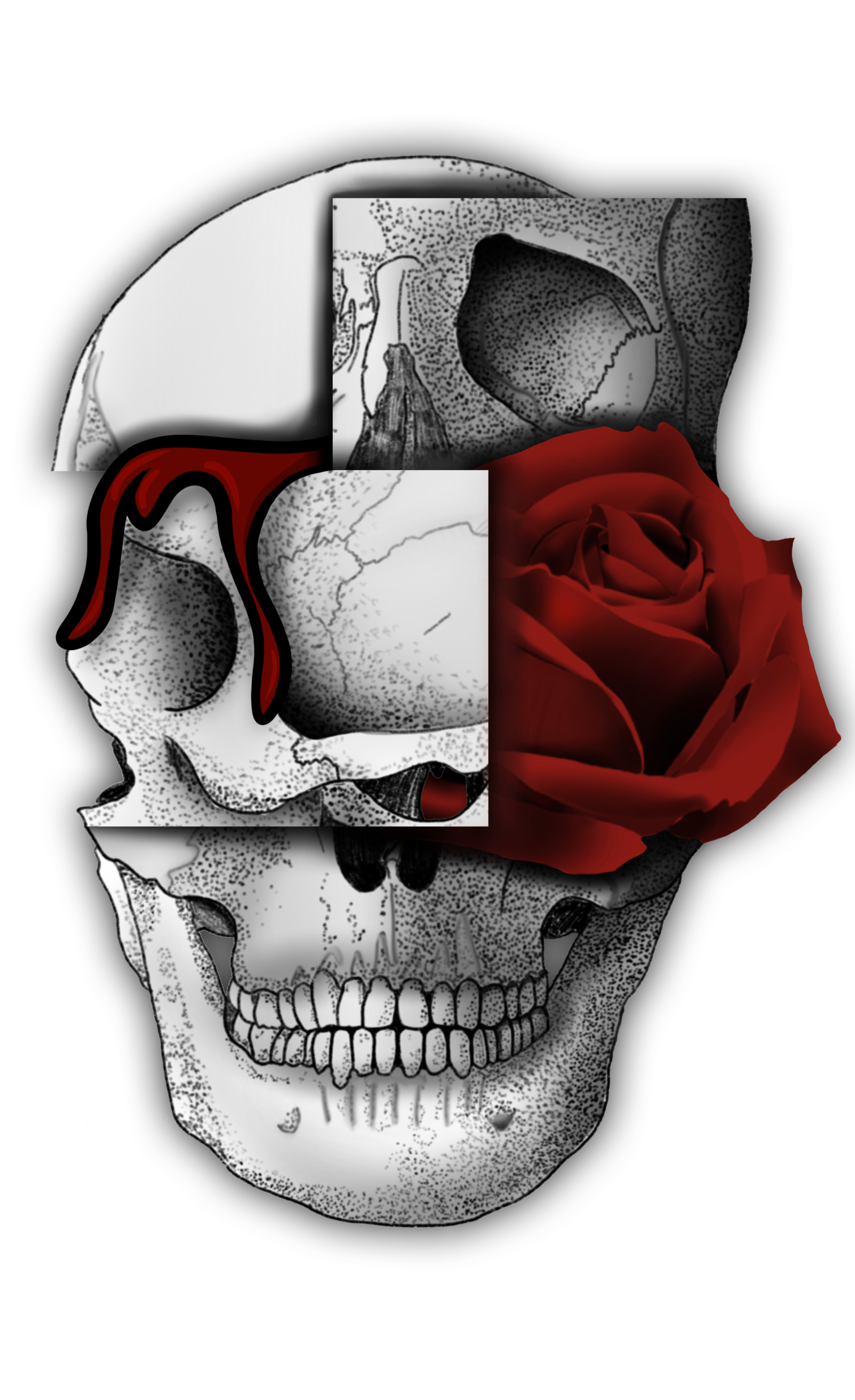 Aesthetic Theme Skull PNG HD Isolated