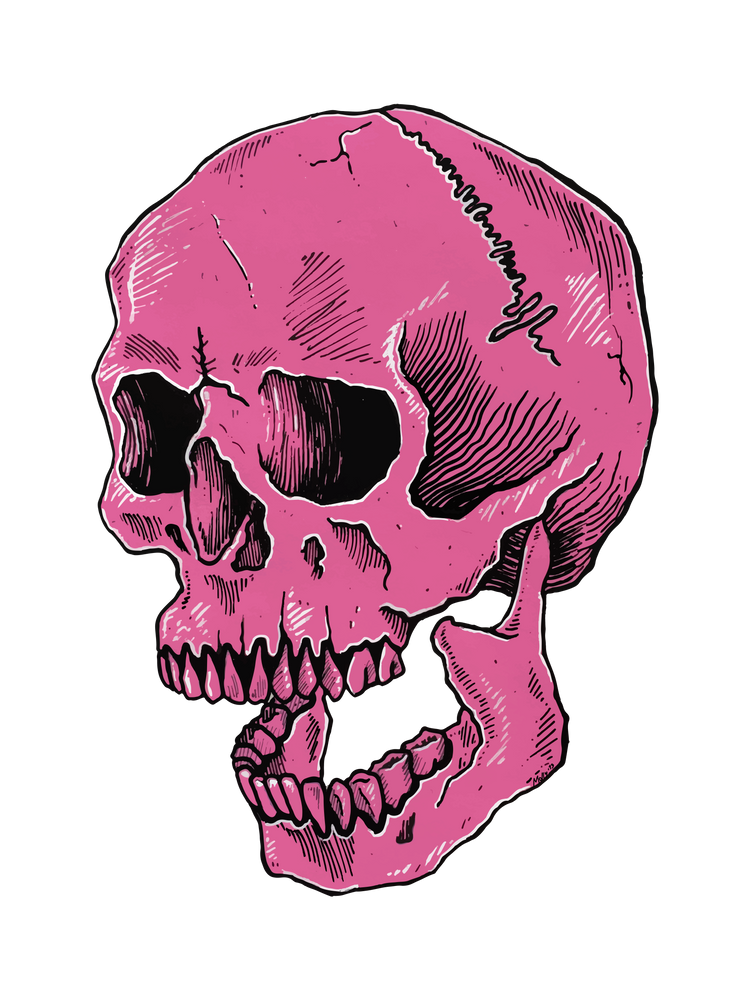 Aesthetic Theme Skull PNG Isolated File