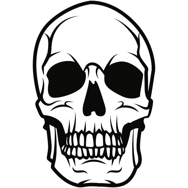 Aesthetic Theme Skull PNG Photos