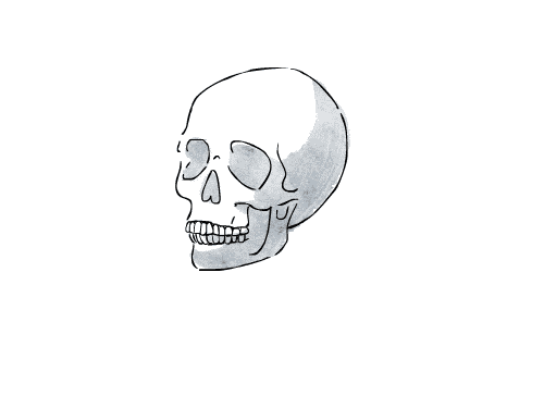 Aesthetic Theme Skull PNG