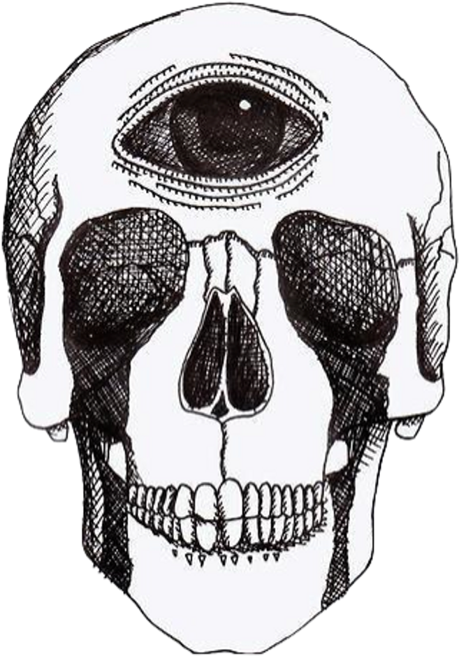 Aesthetic Theme Skull Transparent PNG