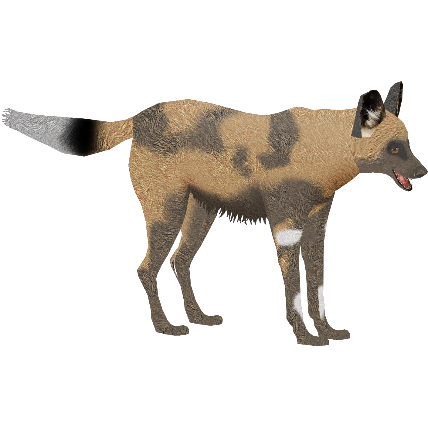 African Wild Dog PNG