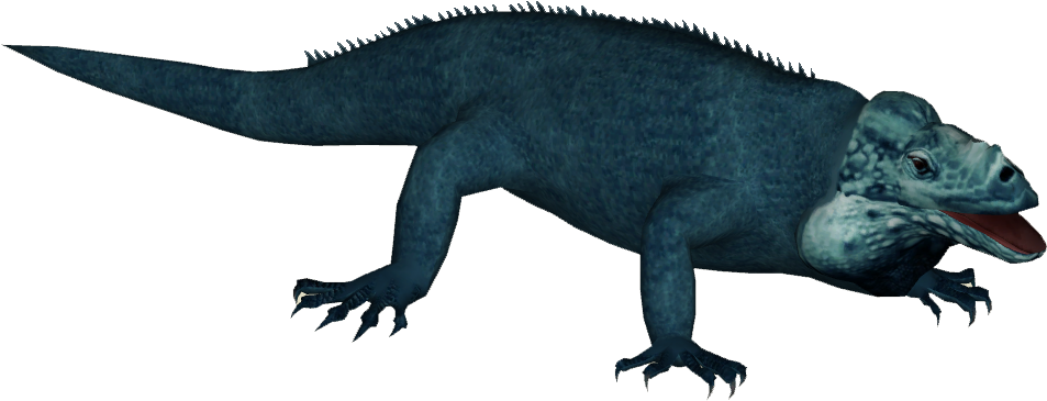 Agamas PNG HD