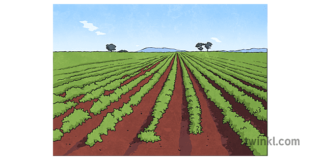 Agricultural Land PNG Clipart