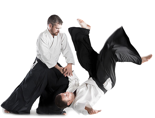 Aikido PNG Background Image