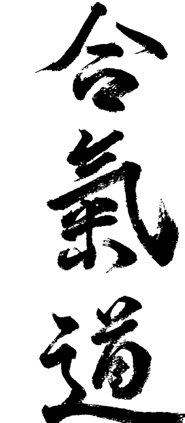 Aikido PNG Background Isolated Image
