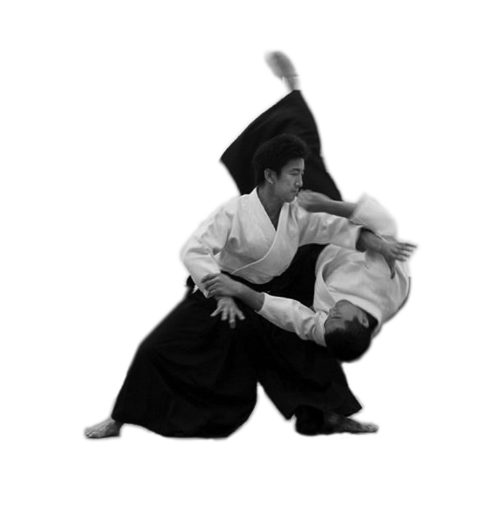 Aikido PNG Isolated Photo