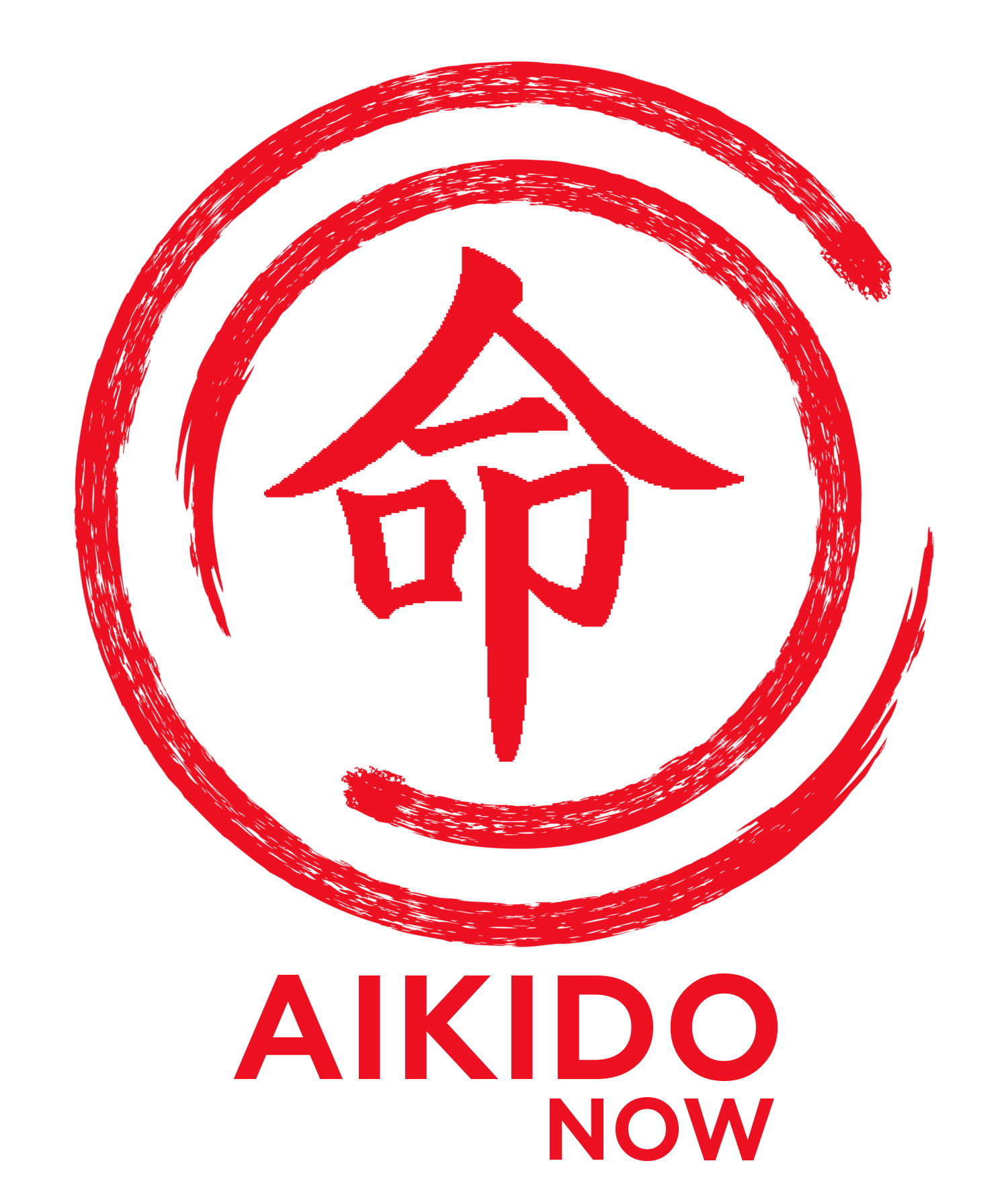 Aikido PNG Pic