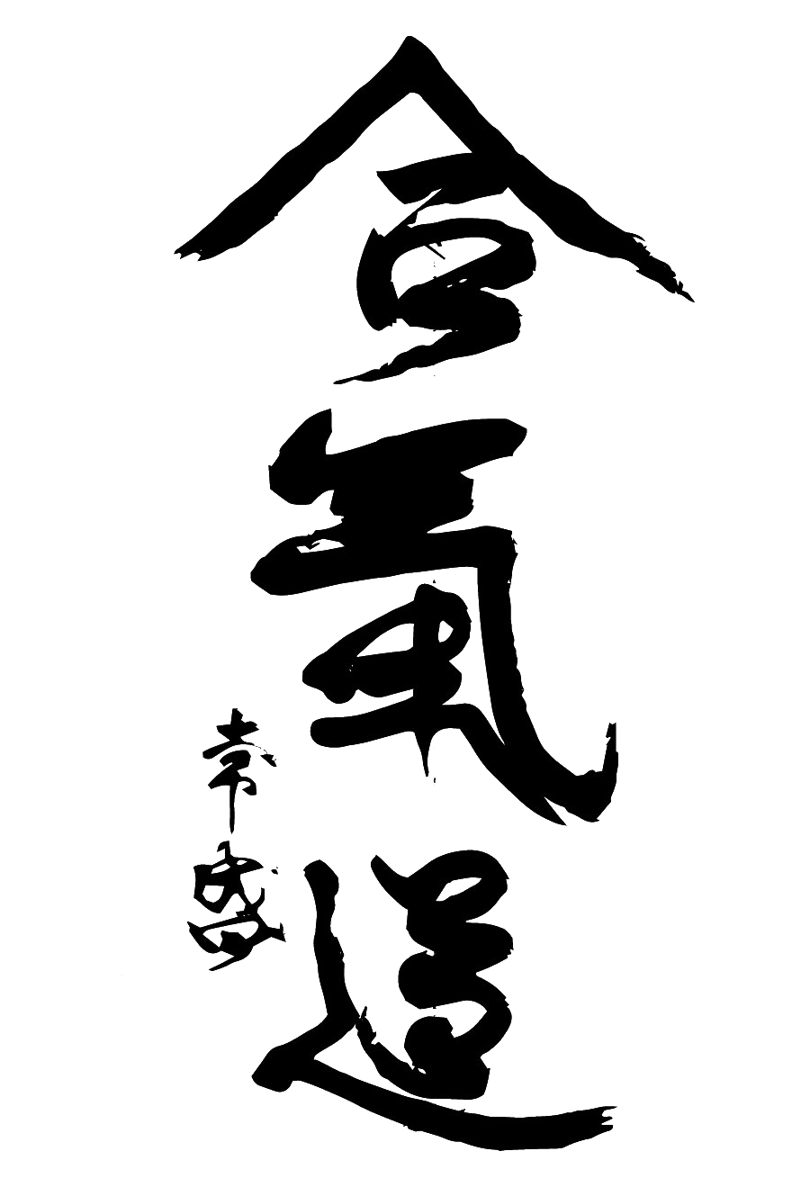 Aikido PNG Picture