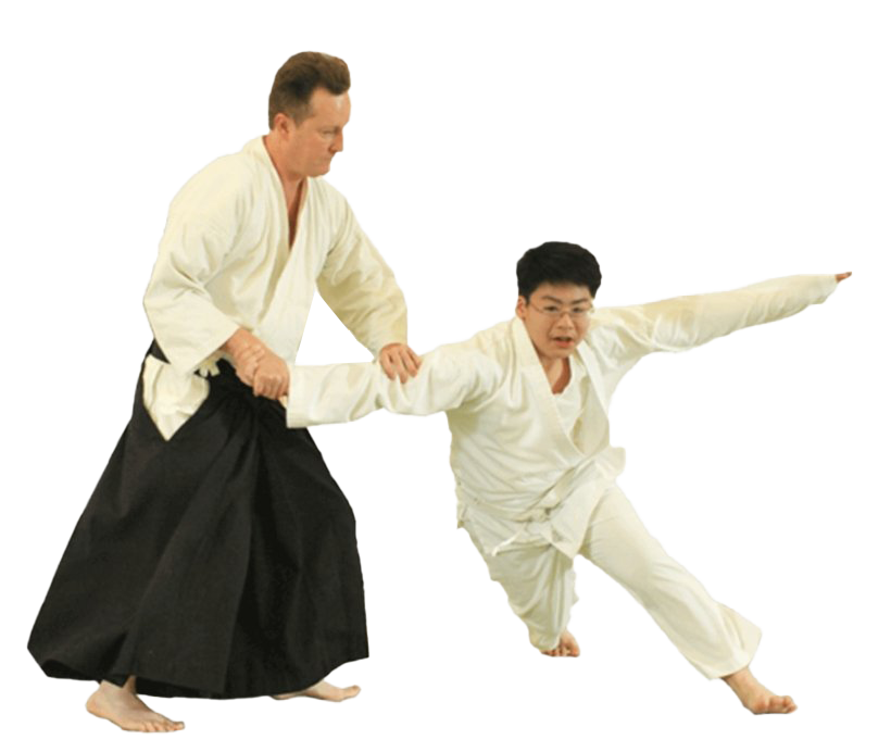Aikido Transparent Isolated Background