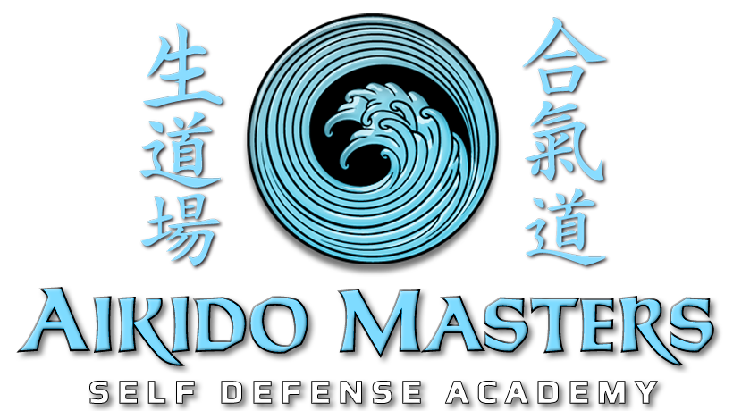 Aikido Transparent Isolated Images PNG
