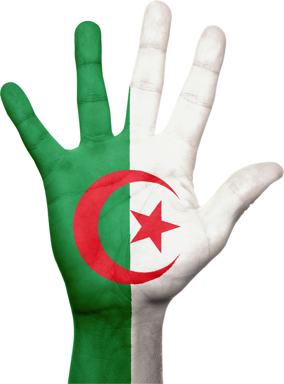 Algeria Flag PNG Isolated HD