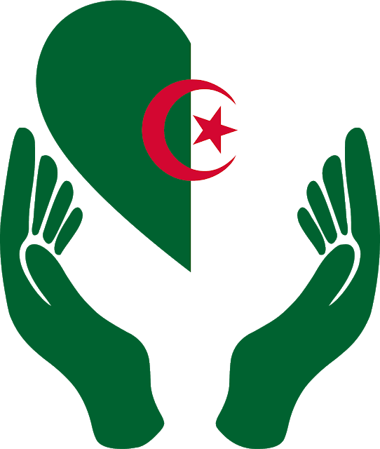 Algeria Flag PNG Photos