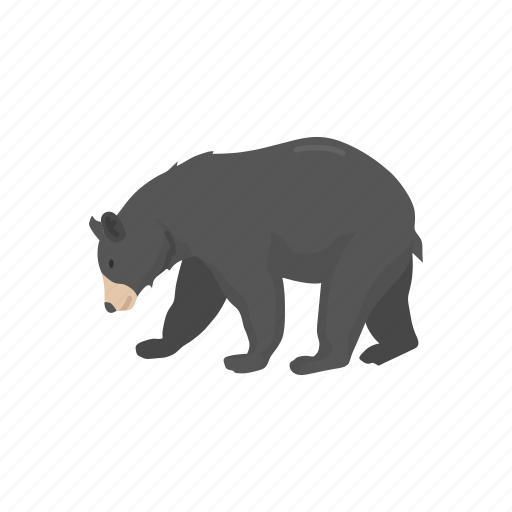 American Black Bear Transparent PNG