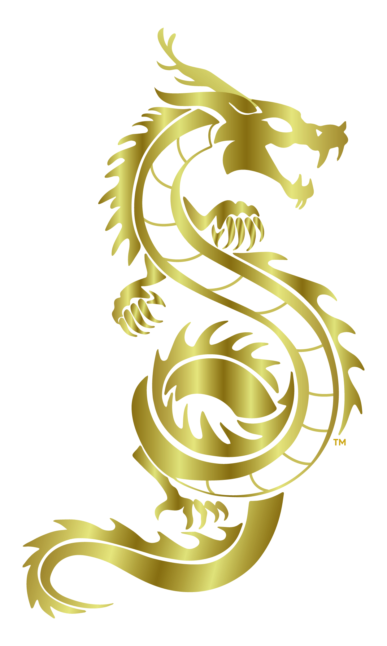 Ancient Gold Dragon PNG HD