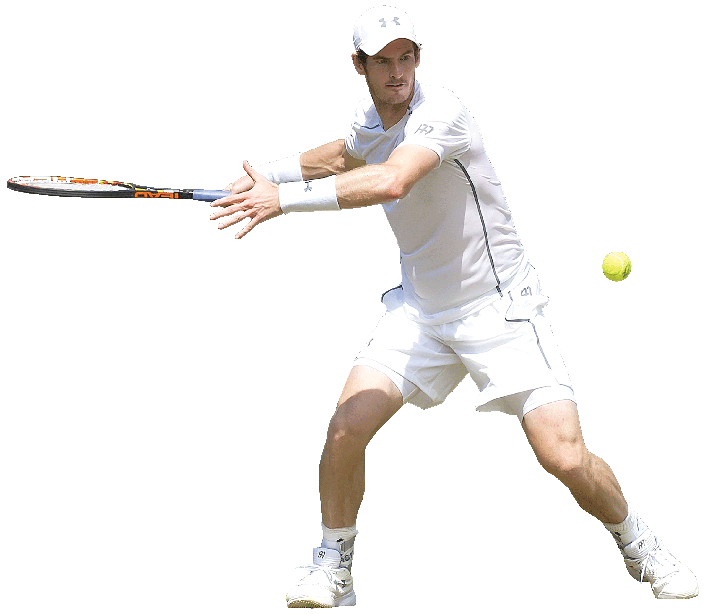 Andy Murray PNG Image