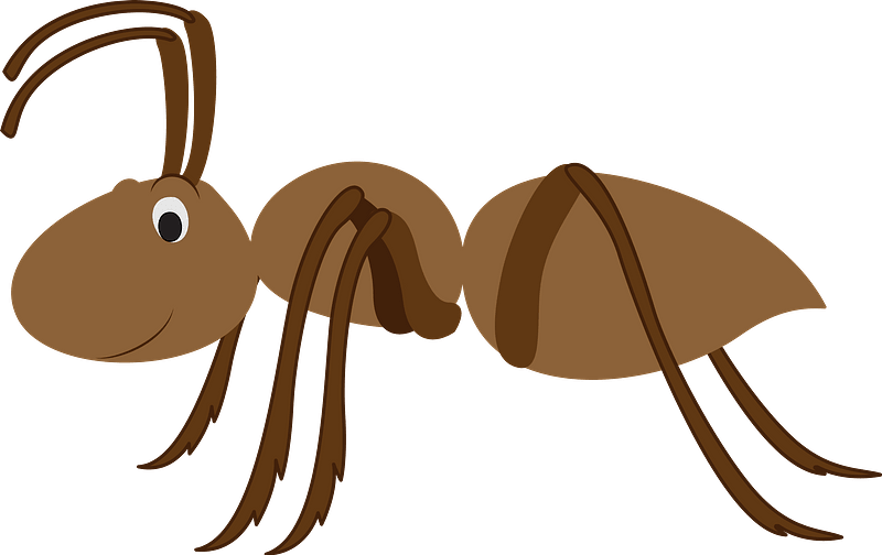 Ants PNG Isolated Image