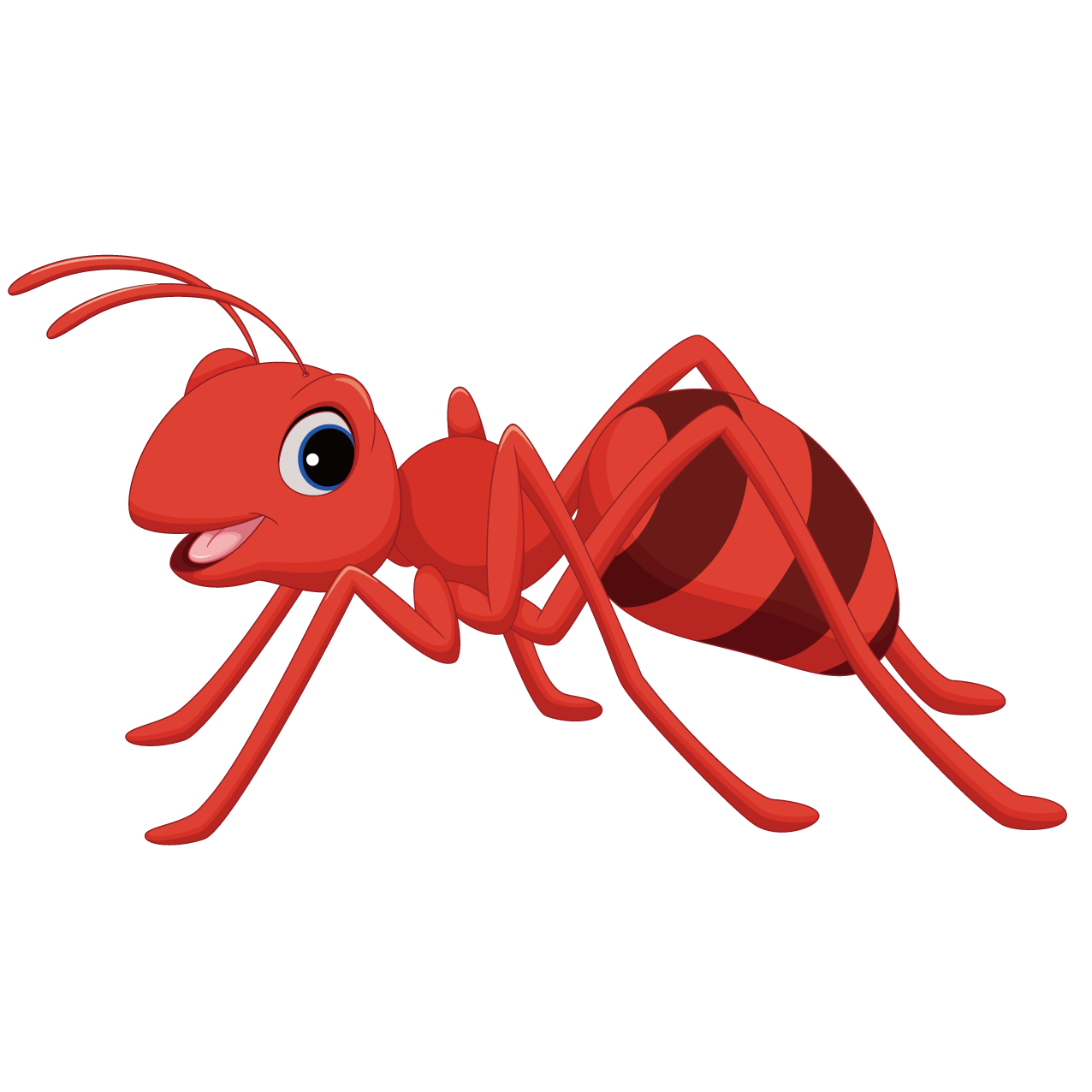 Ants PNG Pic