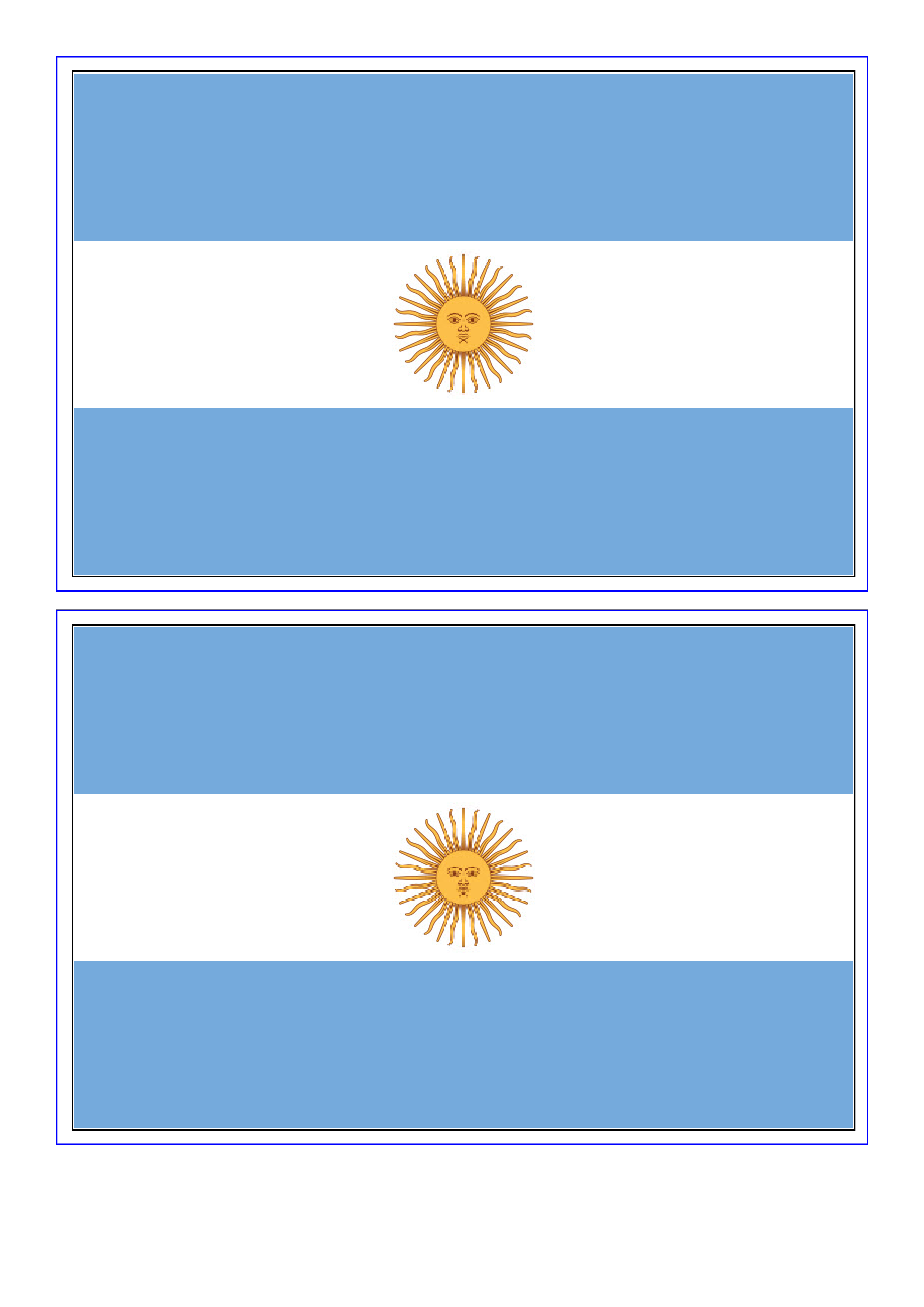 Argentina Flag Transparent PNG