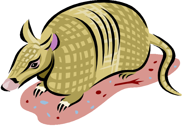 Armadillo PNG Free Download