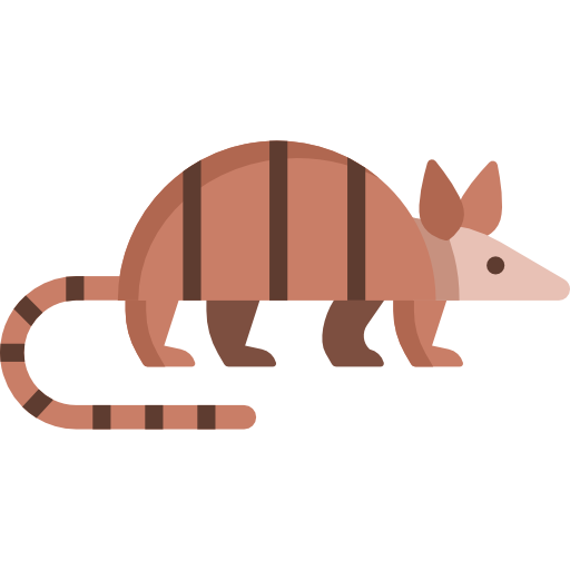 Armadillo PNG Isolated HD
