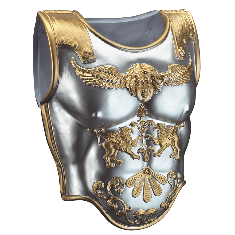 Armour PNG Isolated HD