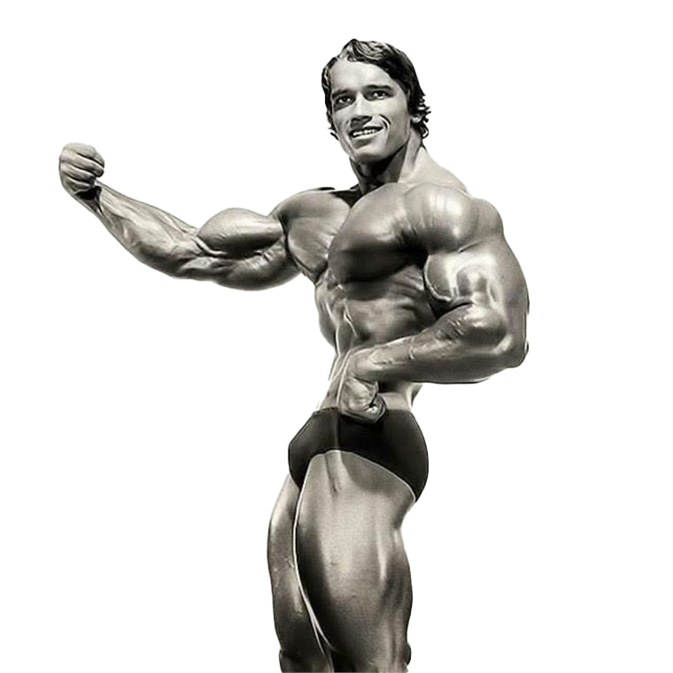 Arnold Schwarzenegger PNG Isolated File