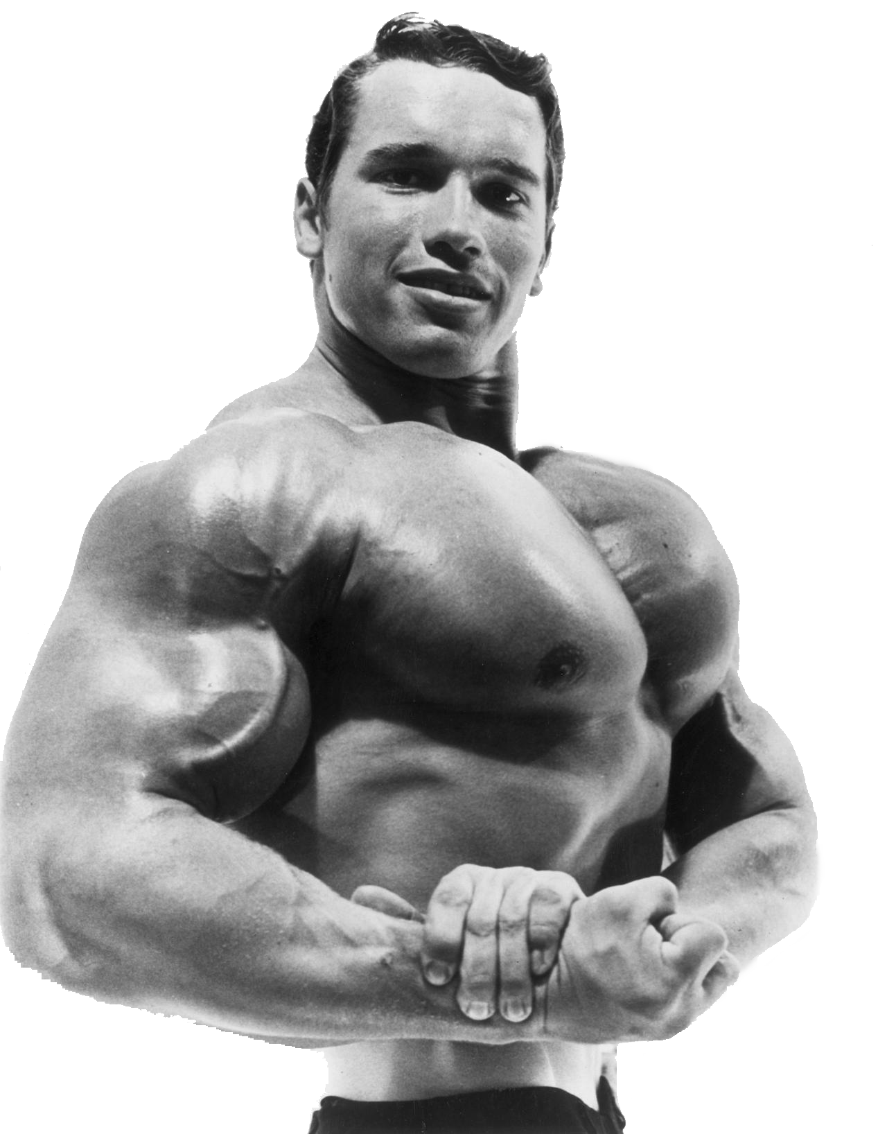 Arnold Schwarzenegger PNG Isolated Pic