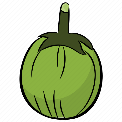 Ash Gourd PNG Isolated HD