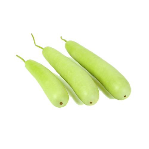 Ash Gourd PNG Picture