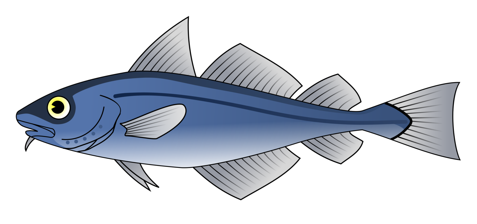Atlantic Cod PNG Isolated HD