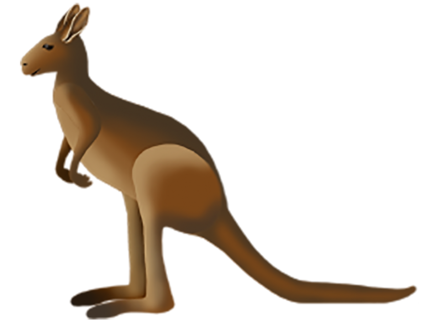 Australia Kangaroo PNG Clipart