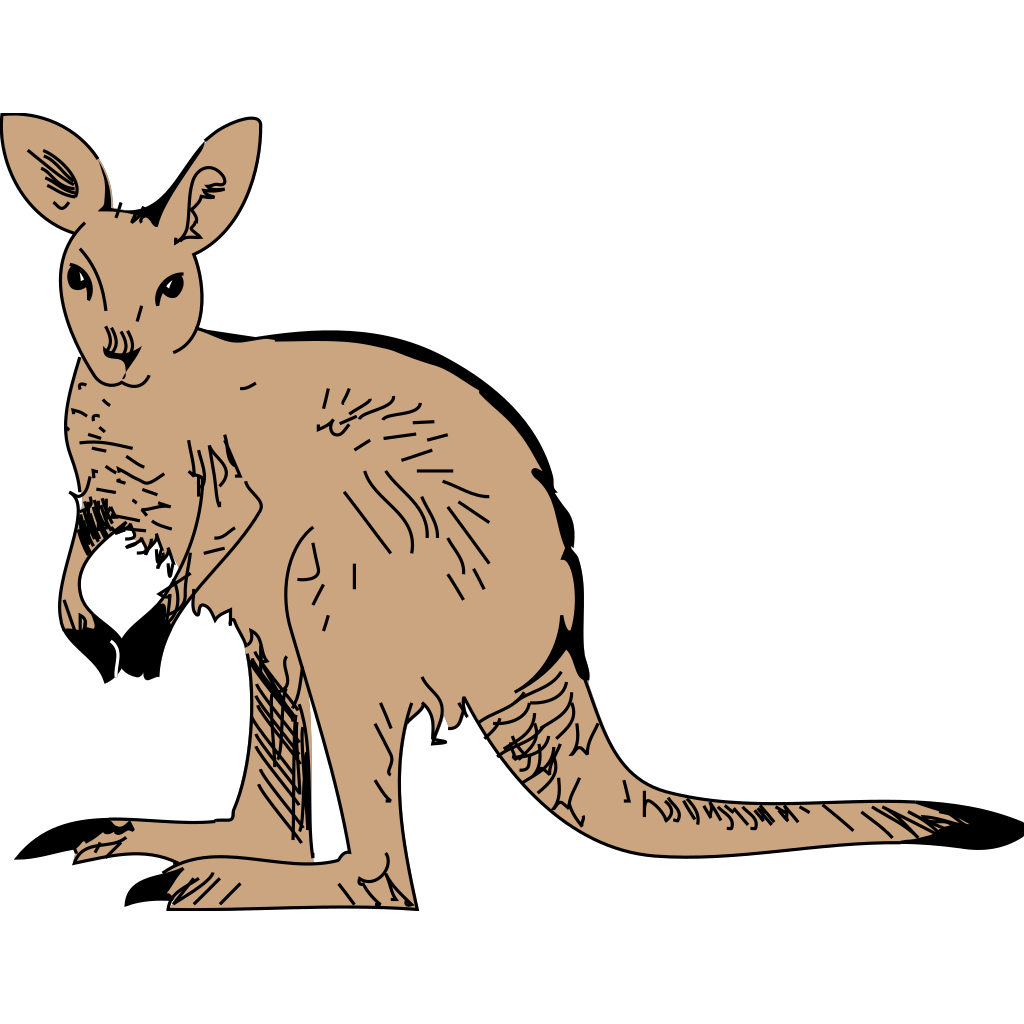 Australia Kangaroo PNG Image
