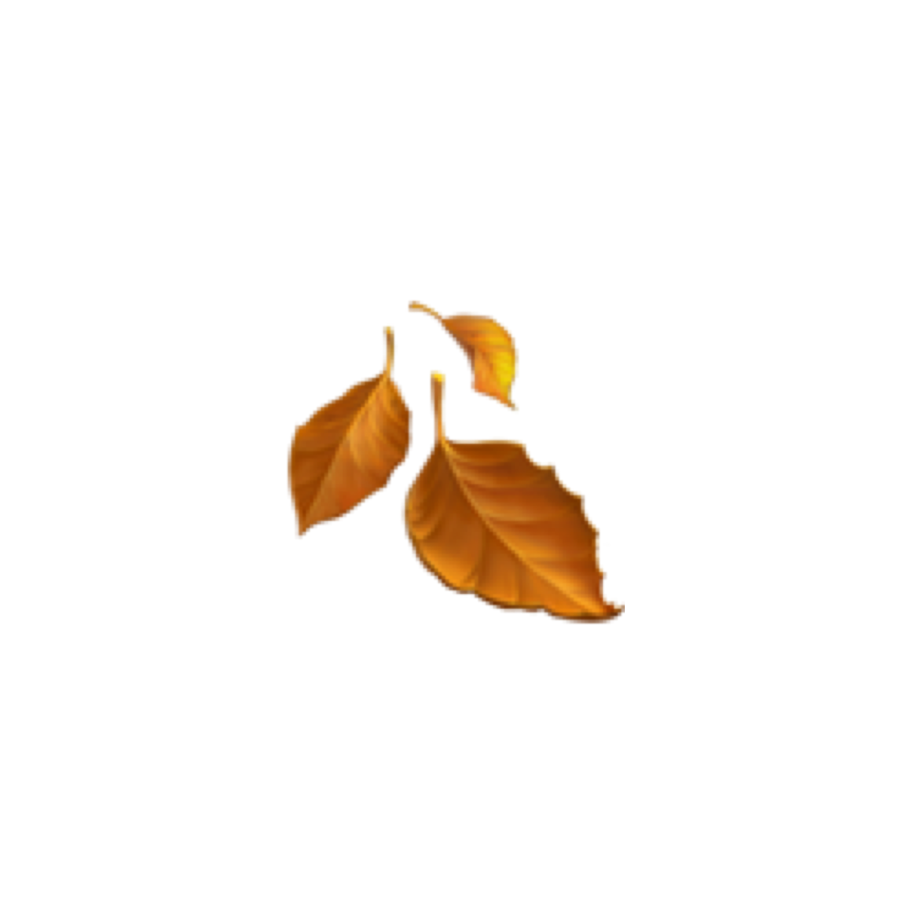 Autumn Aesthetic Theme PNG Pic