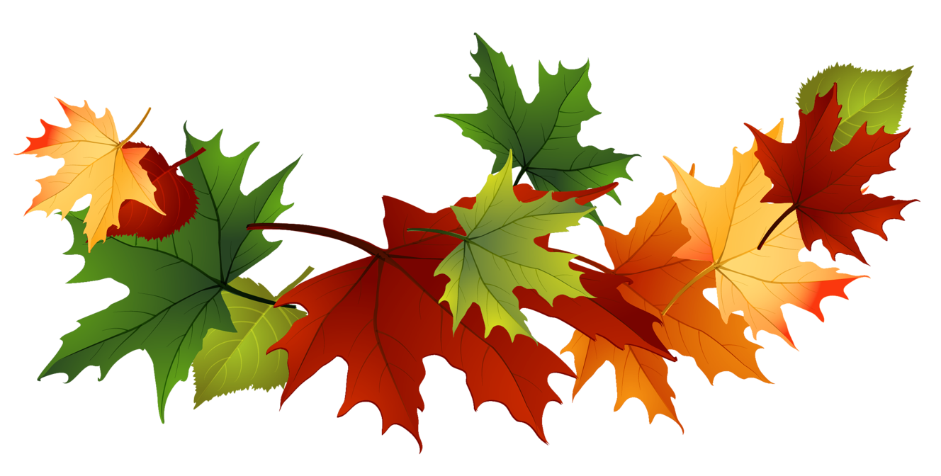 Autumn PNG Isolated File